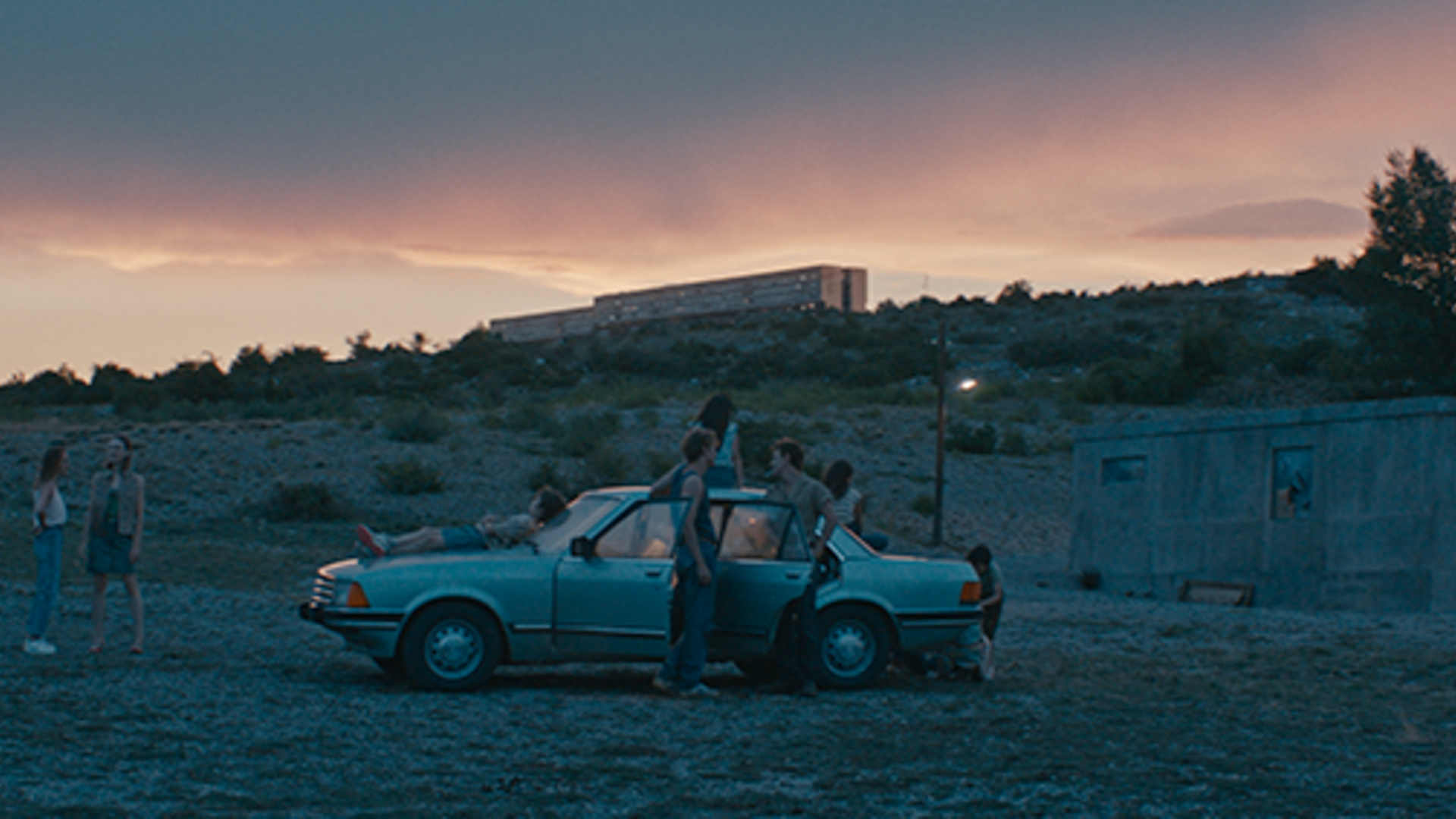 Tarantula Belgique WBImages